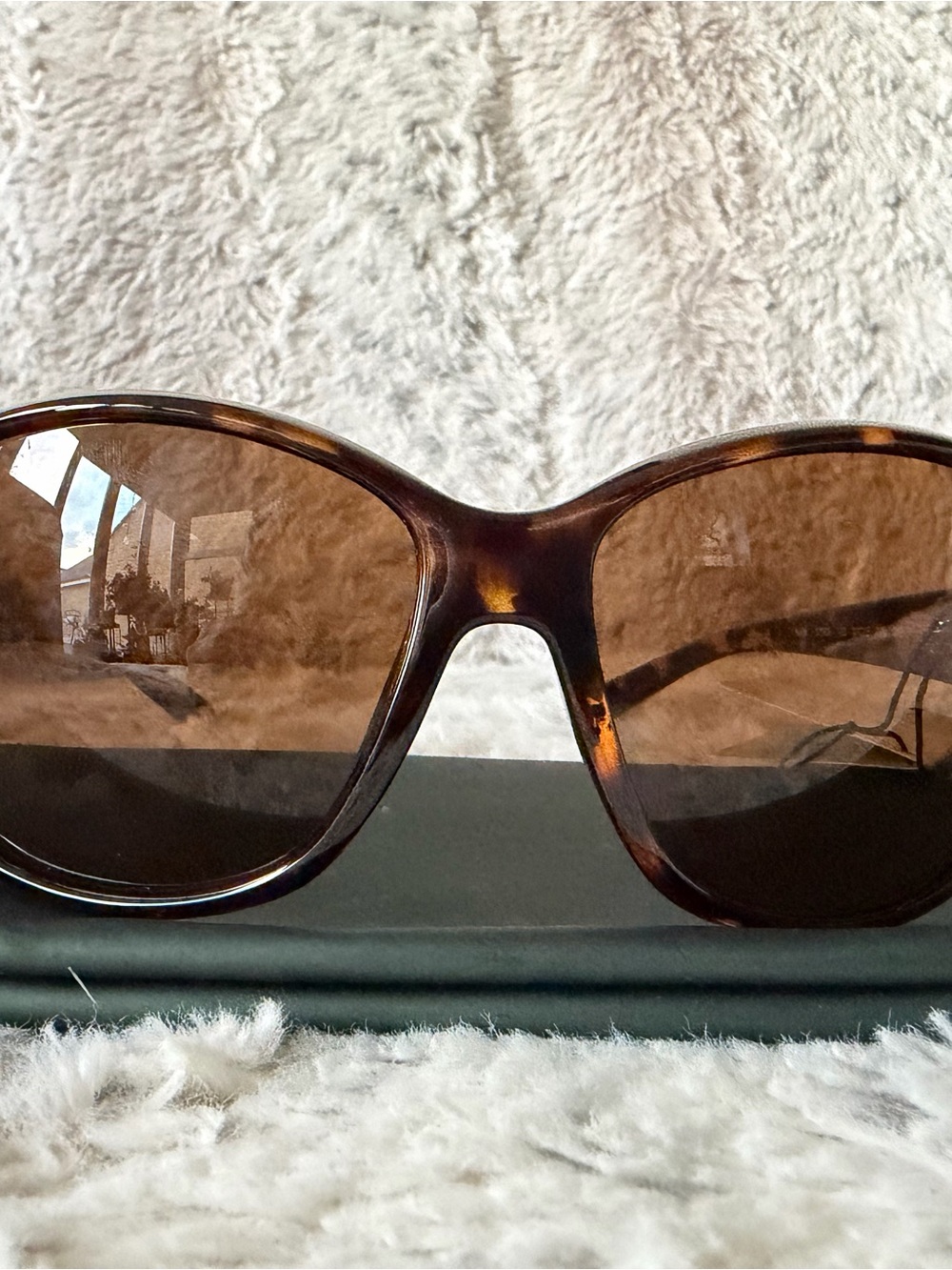 Ted Baker London Halle Tortoise Sunglasses NWT